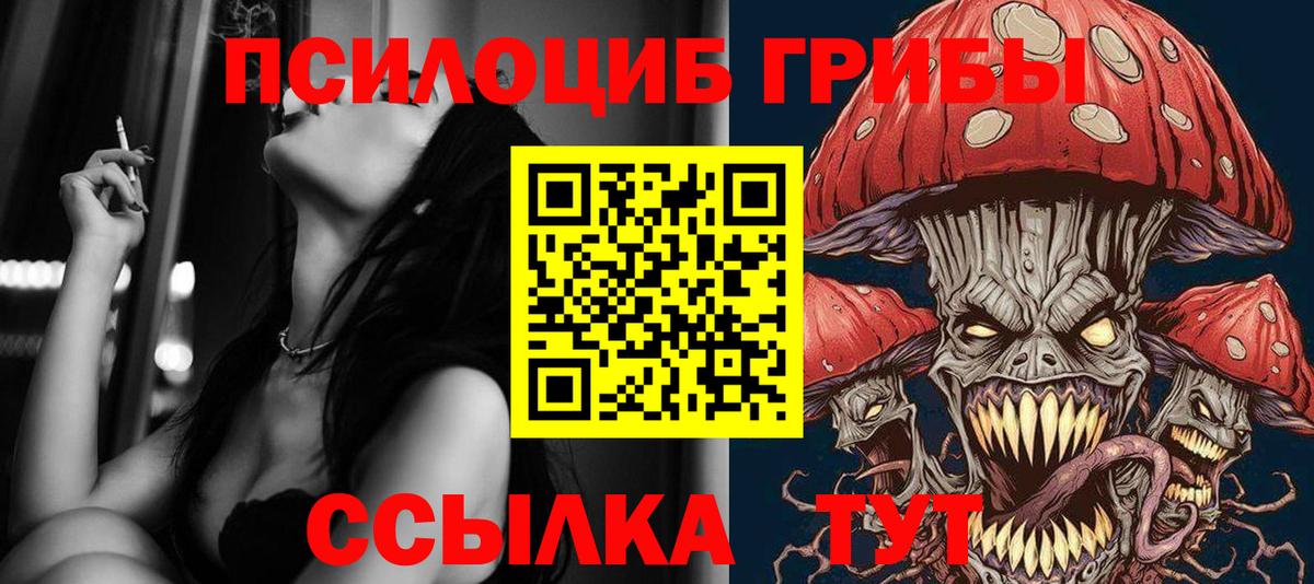 Самара  Галлюциногенные грибы Psilocybine cubensis  Галлюциногенные грибы Cubensis  Вход с VPN 