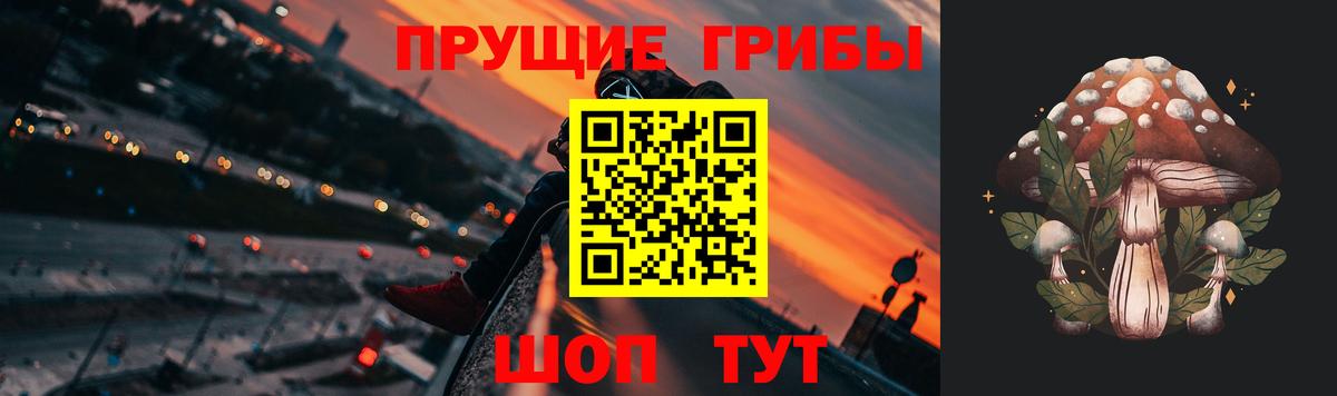 Галлюциногенные грибы Psilocybe Самара